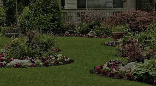 Landscaper And Landscaping Services, Landscaping Companies In Brooklyn Ny